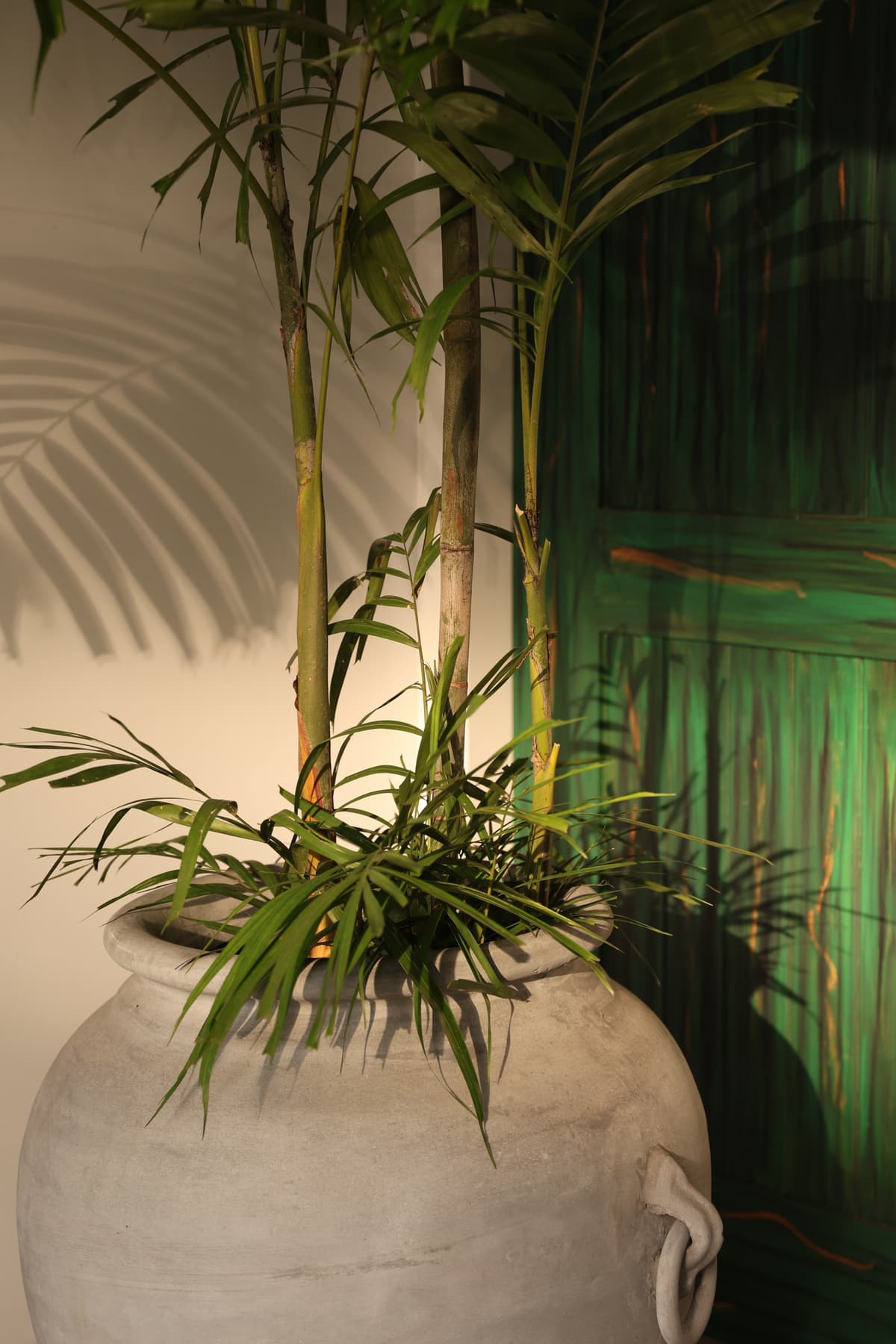 Gallery image 13